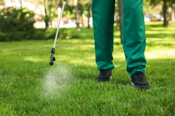 Best Rat Extermination Near Me  in Howard City, MI