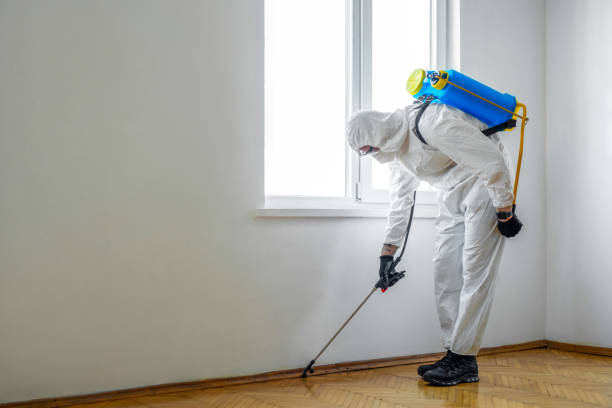 Best Flea Control Services  in Howard City, MI